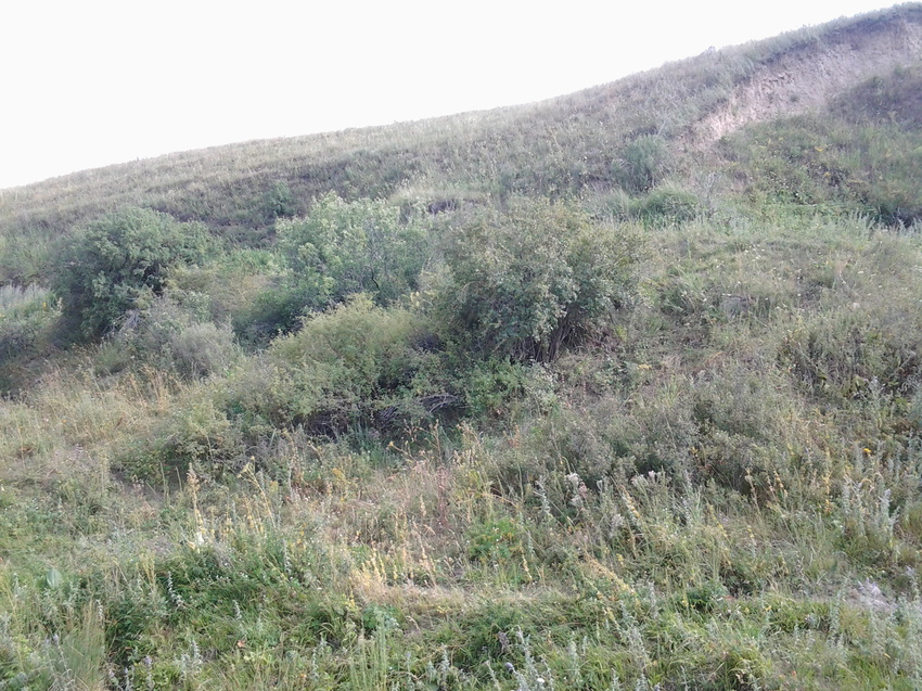 Шаган (Каспанский с.о.)