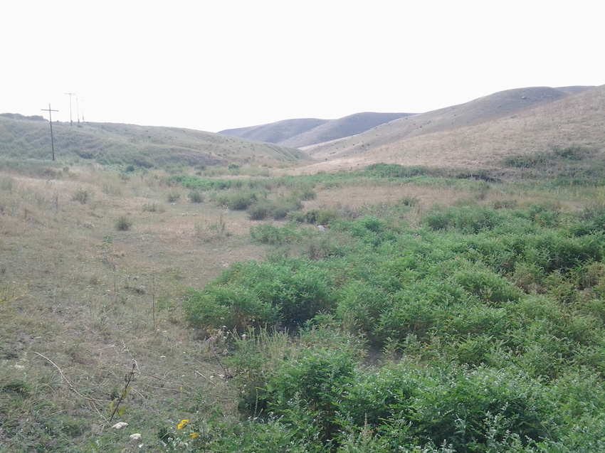 Шаган (Каспанский с.о.)