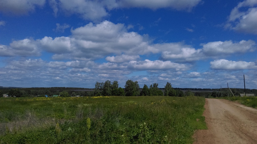 дорога в деревню