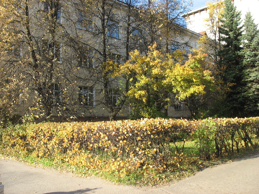 Сыктывкар 2015