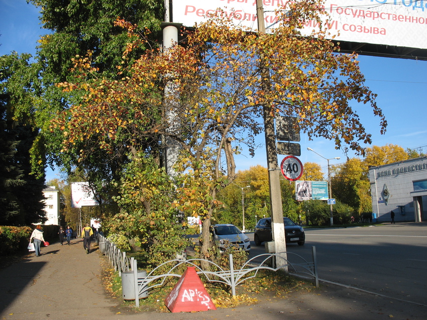 Сыктывкар 2015