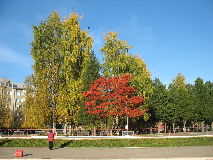 Сыктывкар 2015