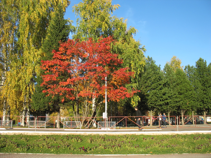 Сыктывкар 2015