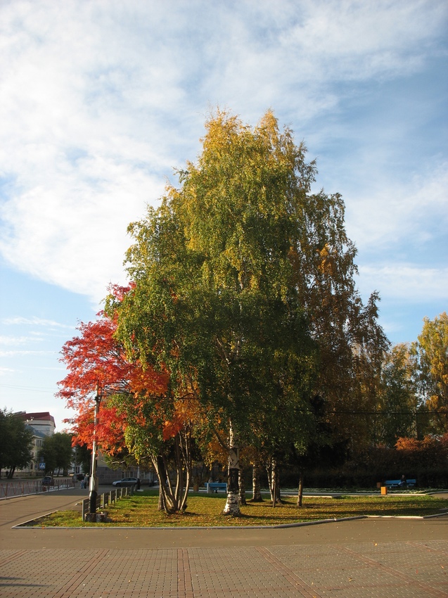 Сыктывкар 2015