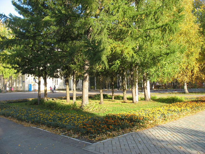 Сыктывкар 2015