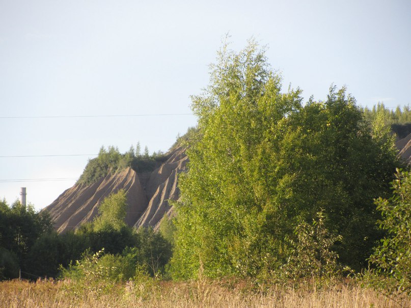Гора-террикон одна из сланцевских заброшенных шахт (шахты № 3)
