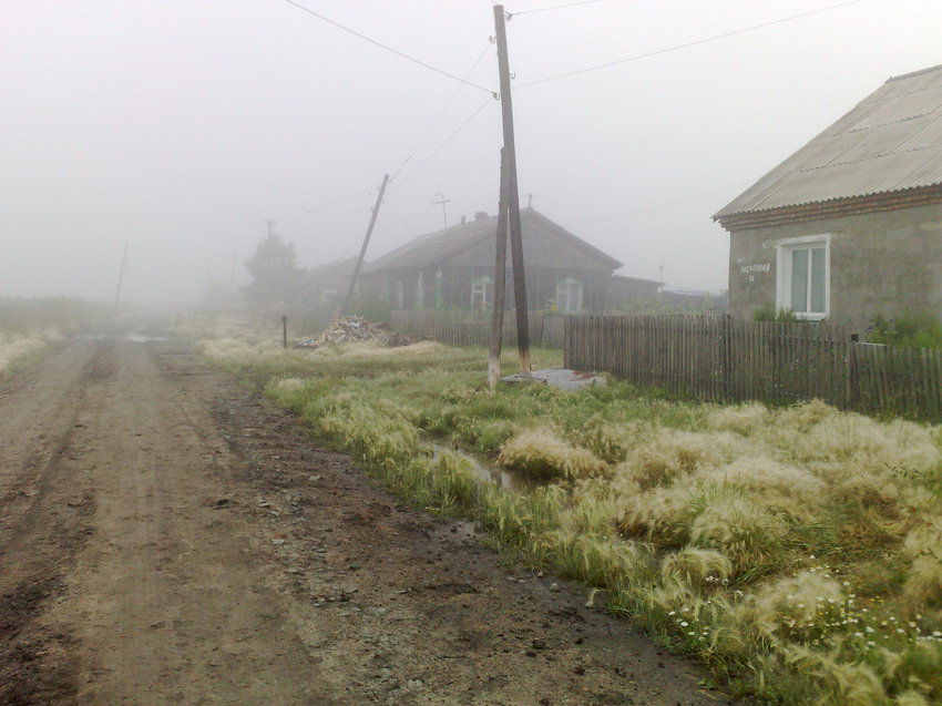 Утренний туман,ул Лесхозная
