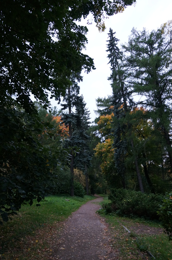 Усадьба Горки