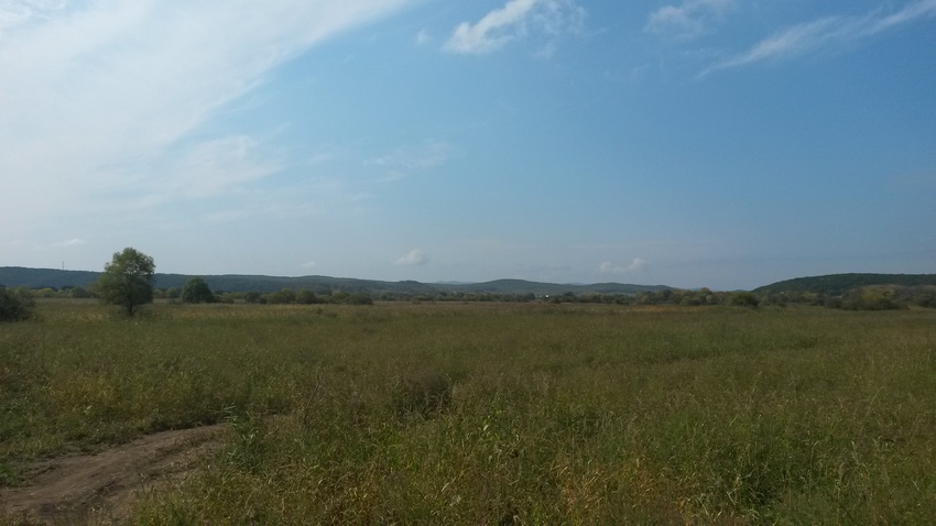 вид на Шекляево