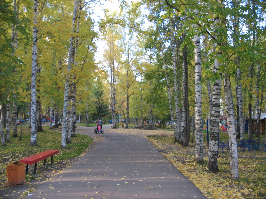 Сыктывкар 2015