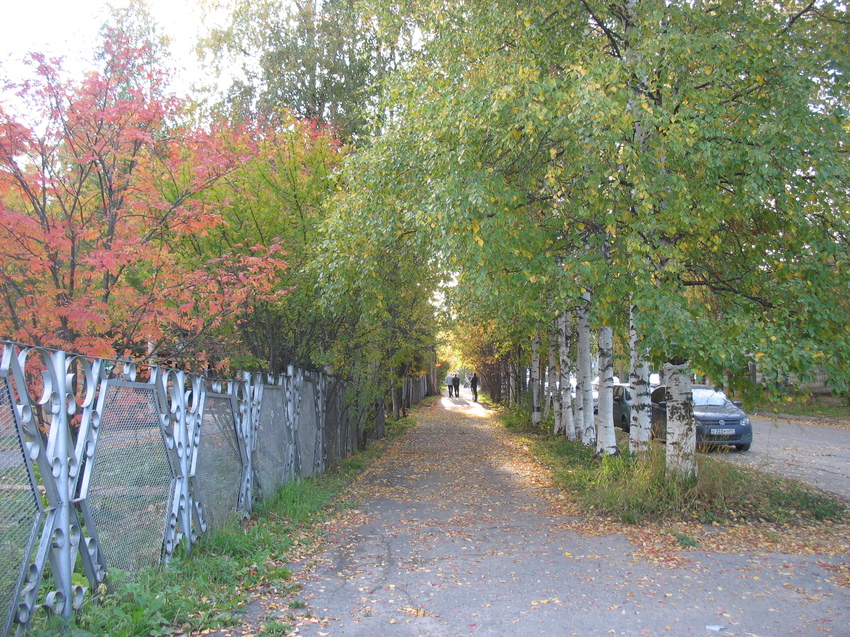 Сыктывкар 2015