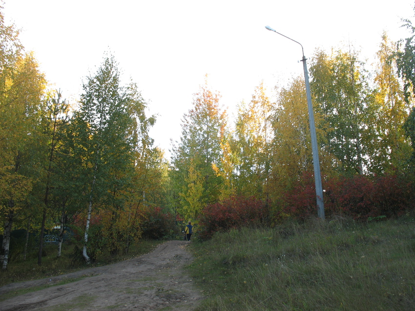 Сыктывкар 2015