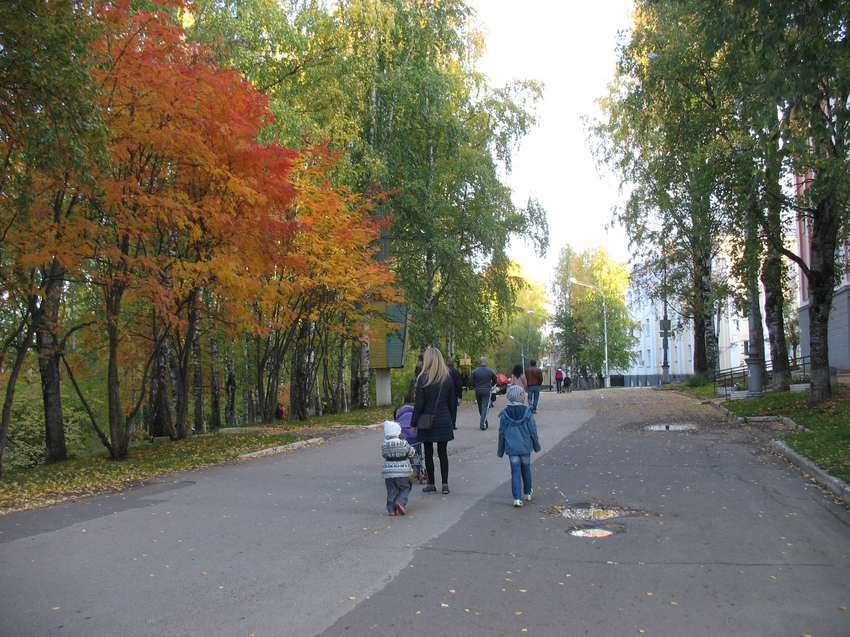 Сыктывкар 2015