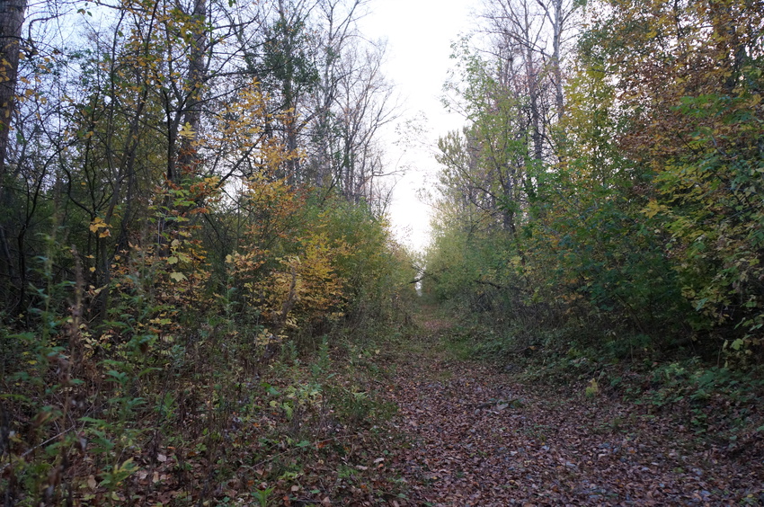 Бывший военный городок ракетчиков