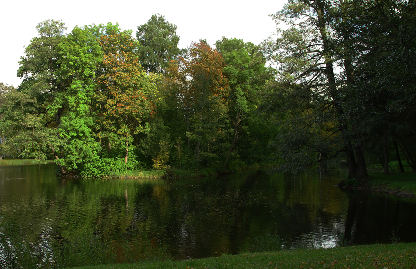 3-й Северный пруд