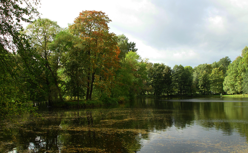 3-й Северный пруд