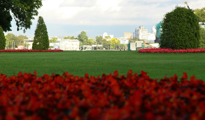 Остров Елагин