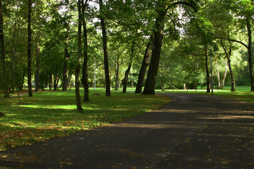 Остров Елагин