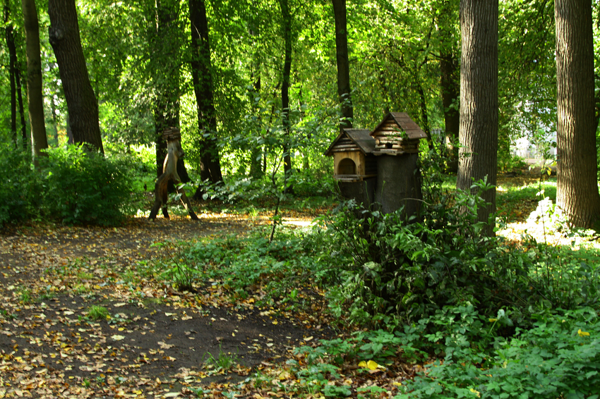 Остров Елагин