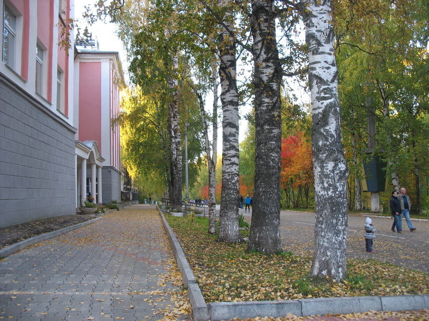 Сыктывкар 2015