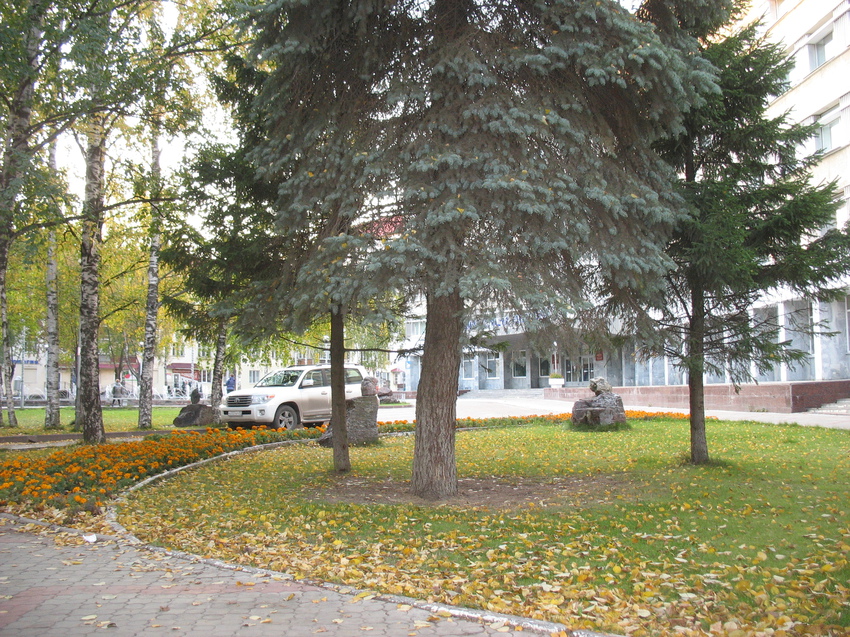 Сыктывкар 2015