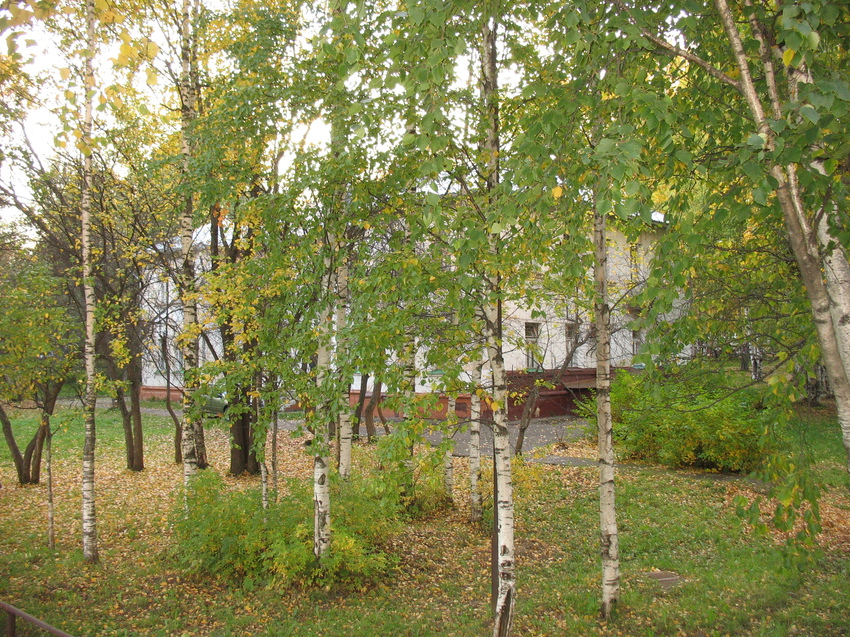 Сыктывкар 2015