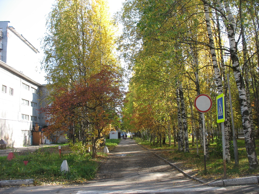 Сыктывкар 2015