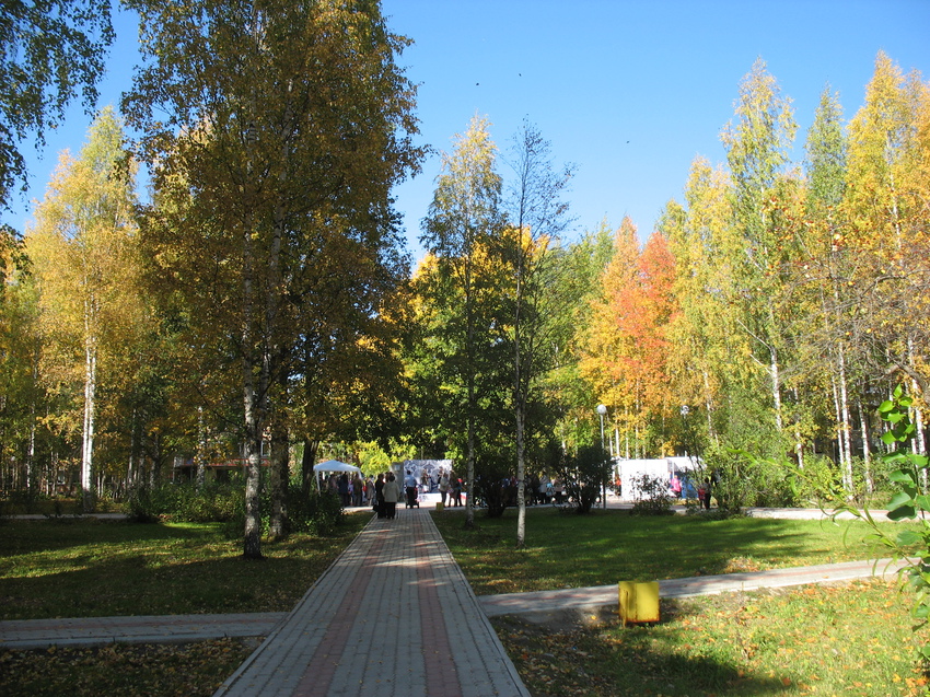 Сыктывкар 2015