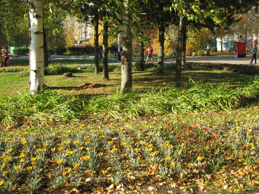 Сыктывкар 2015