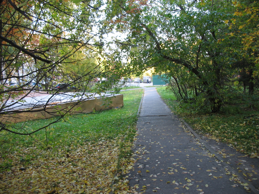 Сыктывкар 2015