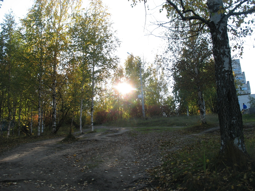 Сыктывкар 2015