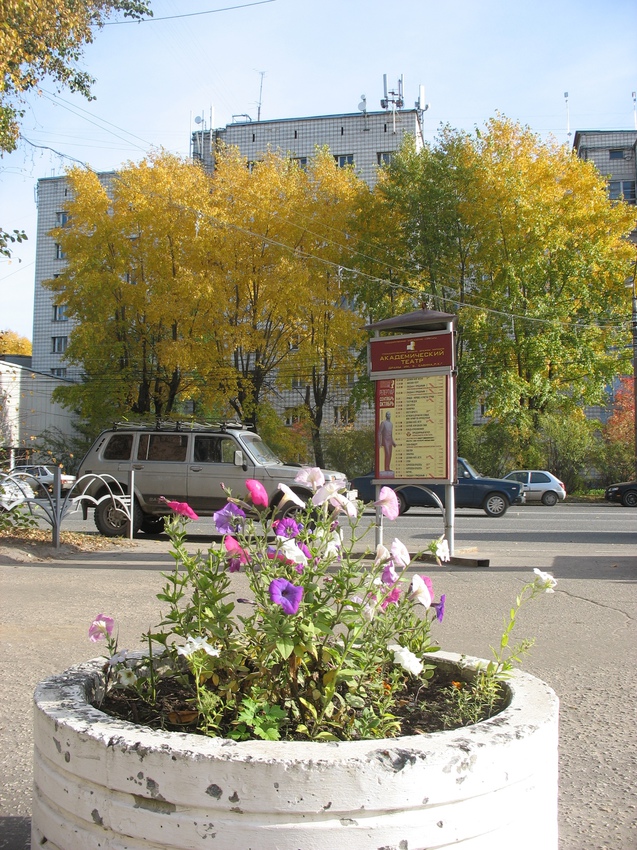 Сыктывкар 2015 - ул. Коммунистическая