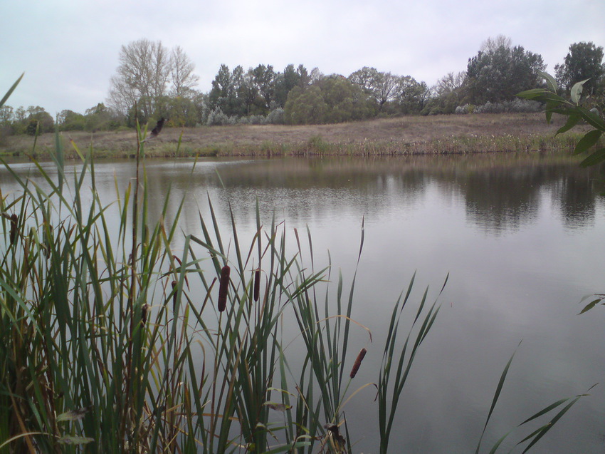 Кубань. Октябрь 2015