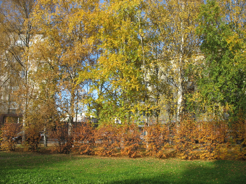 Сыктывкар 2015