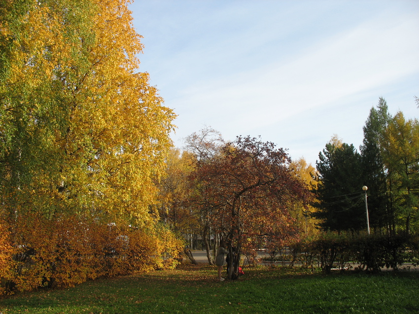 Сыктывкар 2015