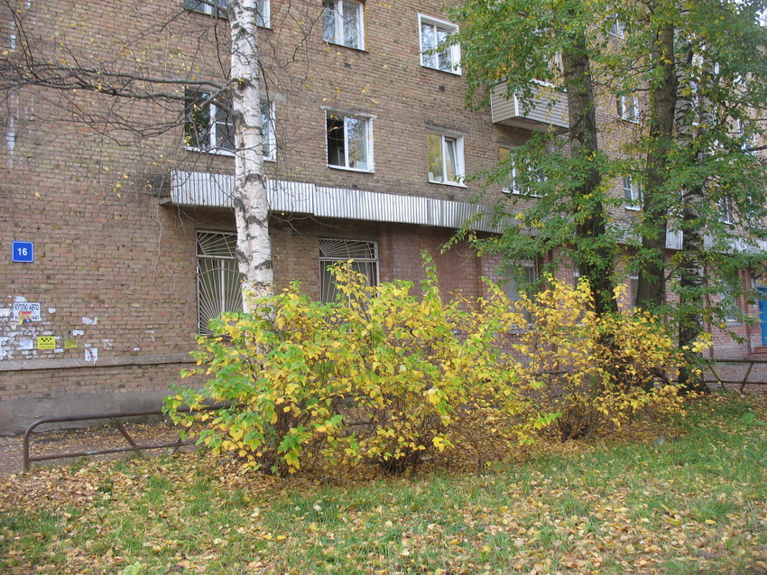 Сыктывкар 2015 - улю Чернова