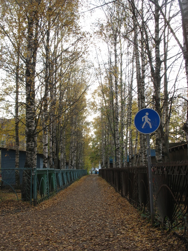 Сыктывкар 2015 - c ул Чернова