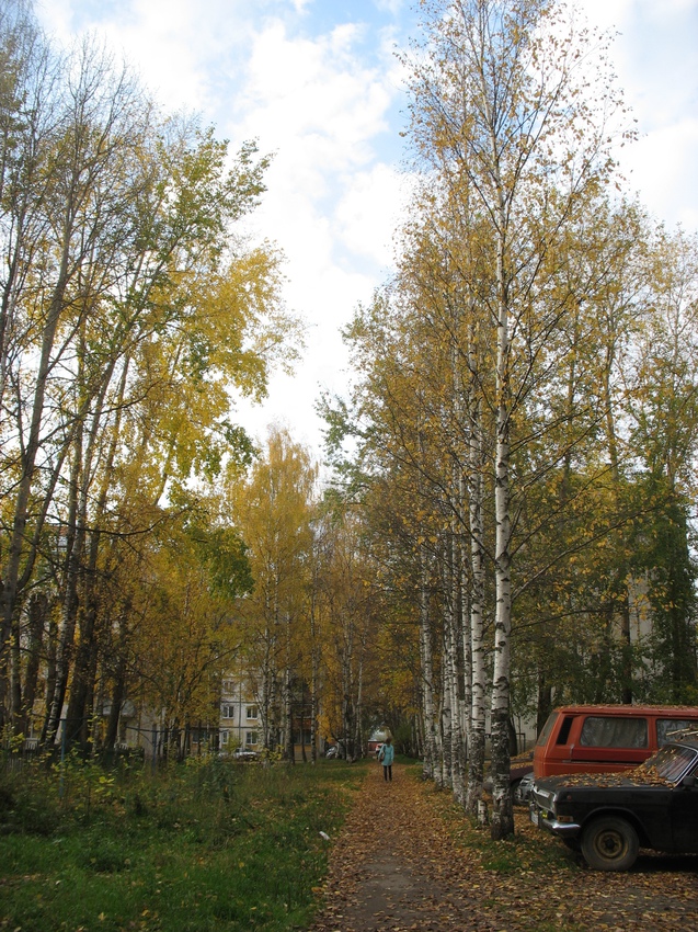 Сыктывкар 2015 - c ул Чернова