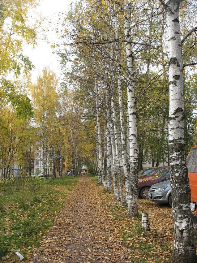 Сыктывкар 2015