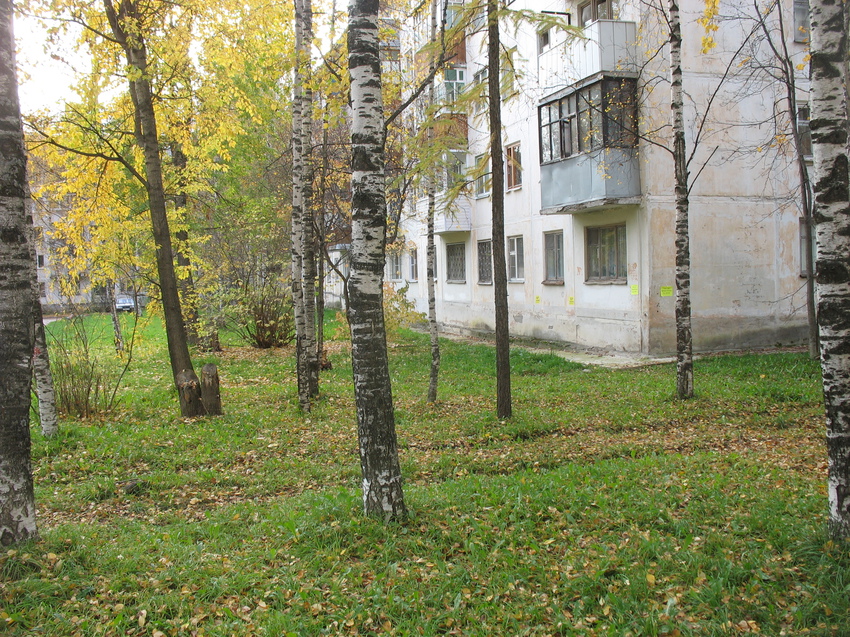 Сыктывкар 2015 - Октябрьский проспект