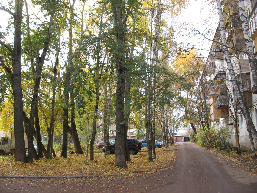 Сыктывкар 2015 - Октябрьский проспект