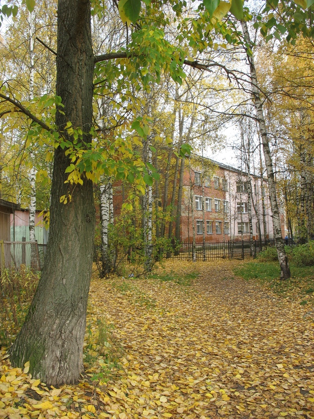 Сыктывкар 2015