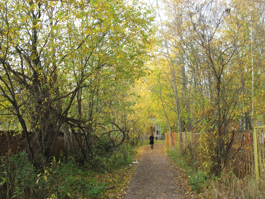 Сыктывкар 2015