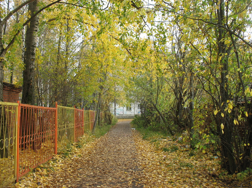 Сыктывкар 2015