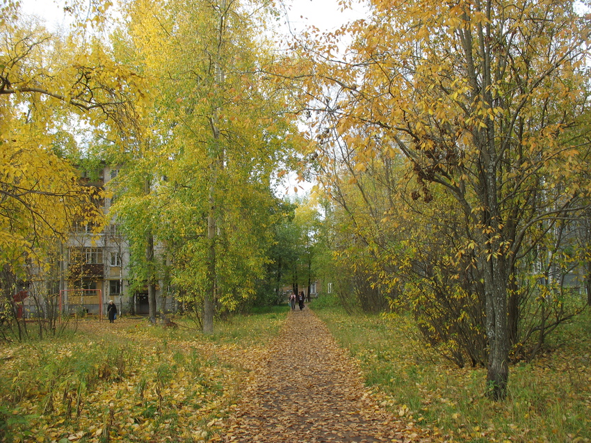 Сыктывкар 2015