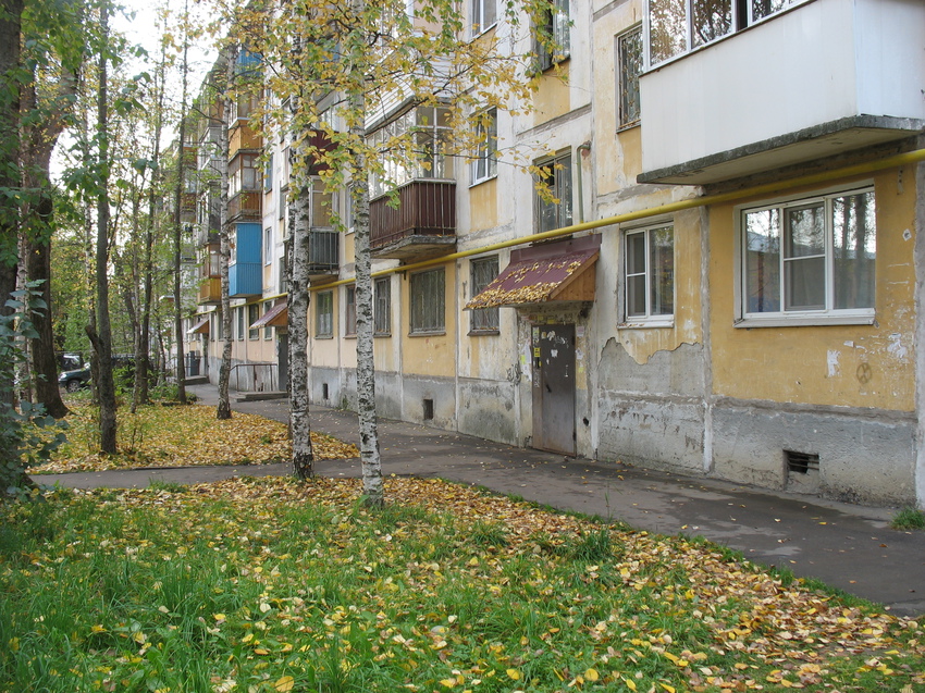 Сыктывкар 2015 - ул. Оплеснина