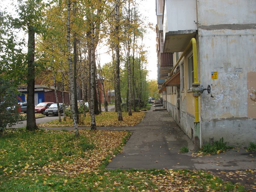 Сыктывкар 2015 - ул. Оплеснина