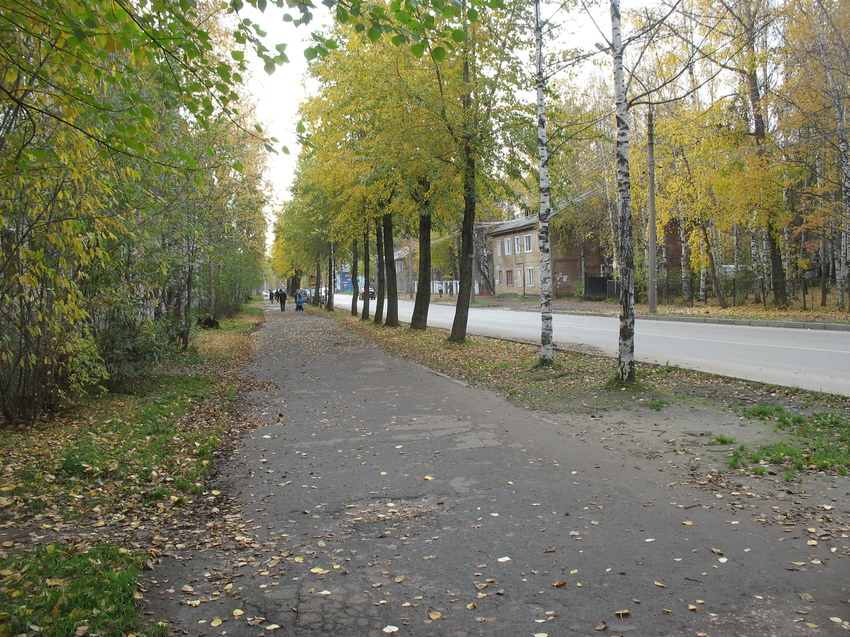 Сыктывкар 2015 - ул. Оплеснина