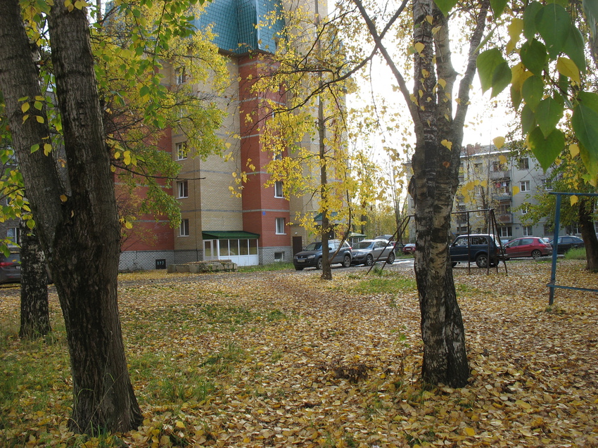 Сыктывкар 2015 - ул. Оплеснина