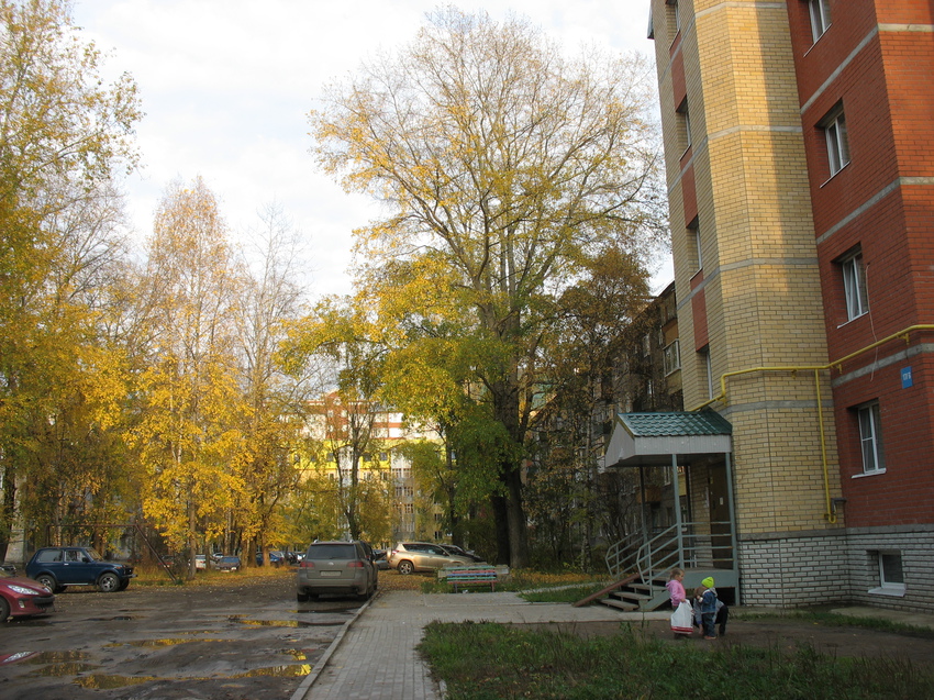 Сыктывкар 2015 - ул. Оплеснина